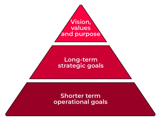 Business purpose, strategic and operational goals