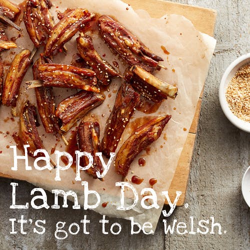 lamb day four communications welsh lamb ad