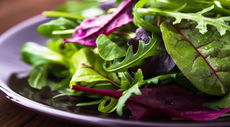 salad leaves on a plate