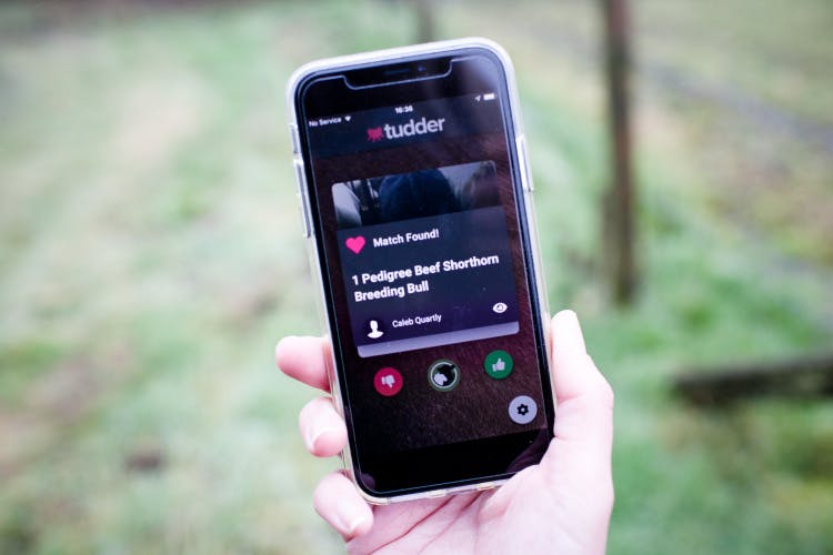 Tudder Tinder for cows app on mobile