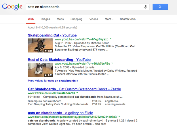 blended serp cats on skateboards